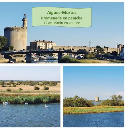 Duplex Au Bord Du Golf, Piscine Dans La Residence, Clim & Wifi - Rossiconciergerie - Linge Inclus *